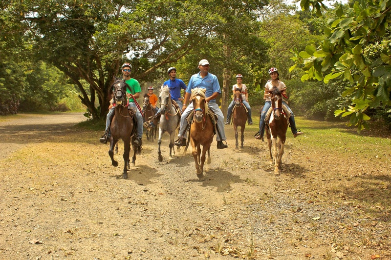 Horseback Riding at The Rainforest