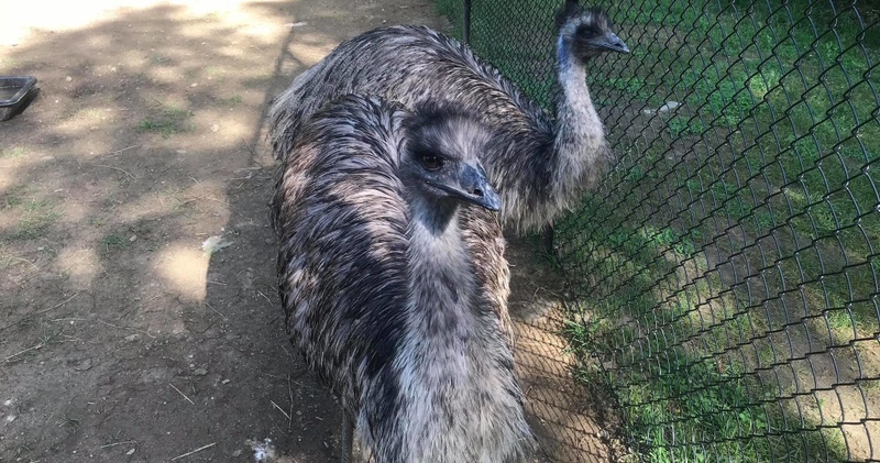 Extreme Private Tour