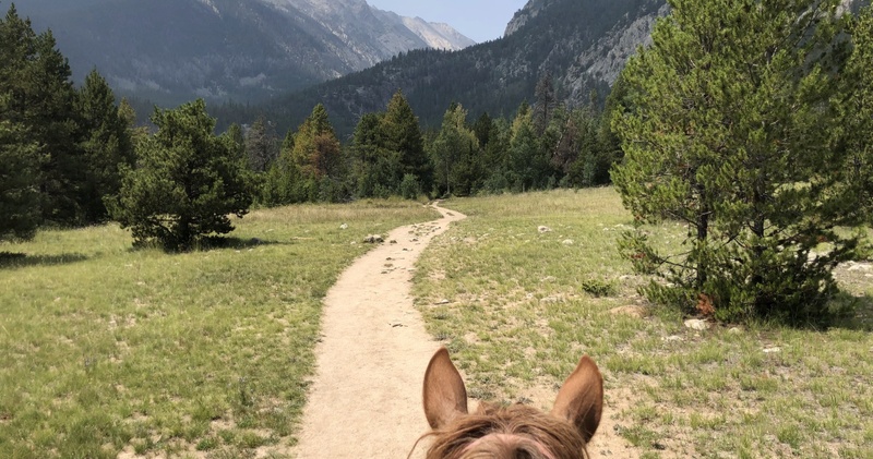 3/4 Day (6 Hour) Waterfall Trail Ride