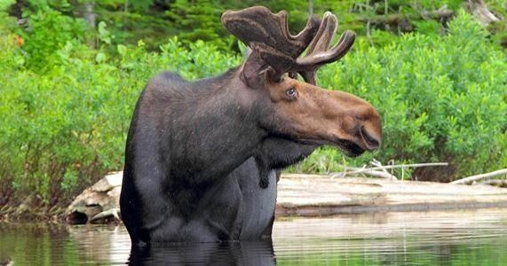 Eight Day Kayak Rental