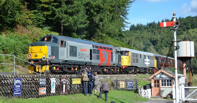 Diesel Gala