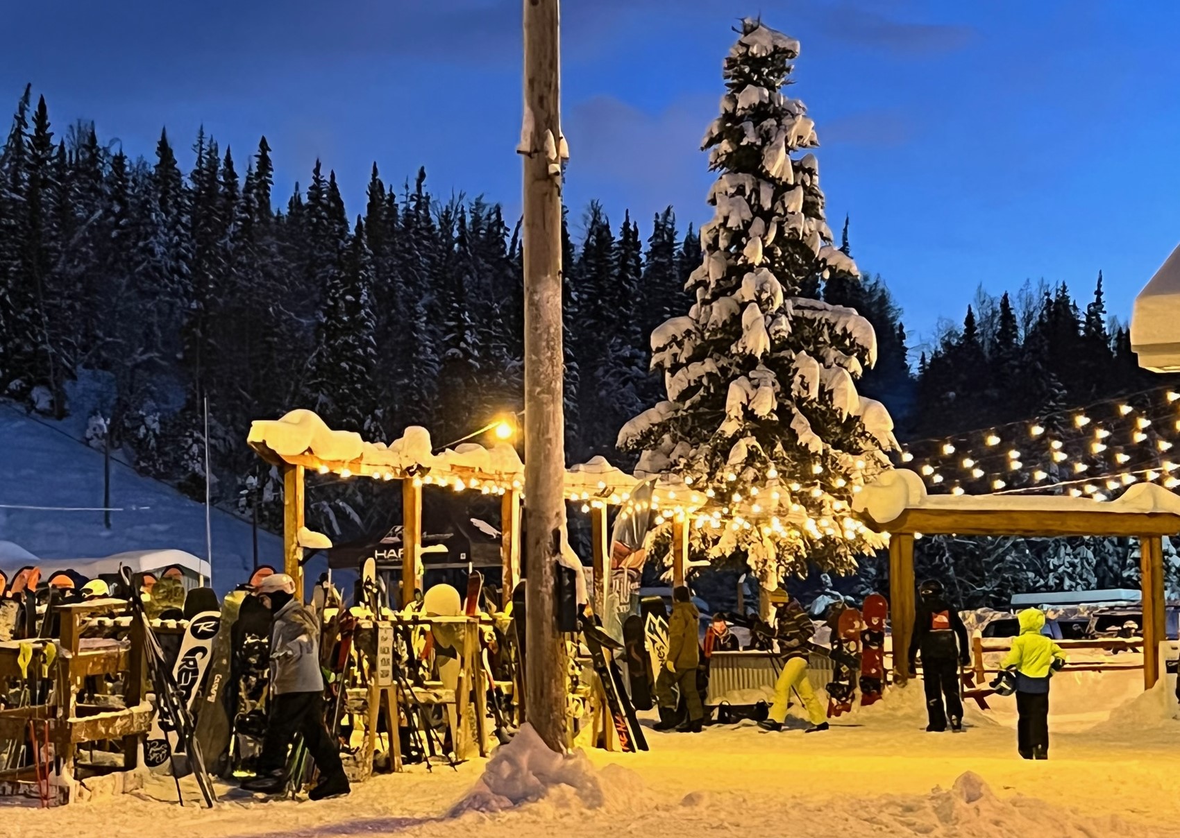 SKI PKG Resort/Alpine Ski, Boots, Poles Rental (Adult  140 cm to 186 cm.  All sizes up to 15 men)