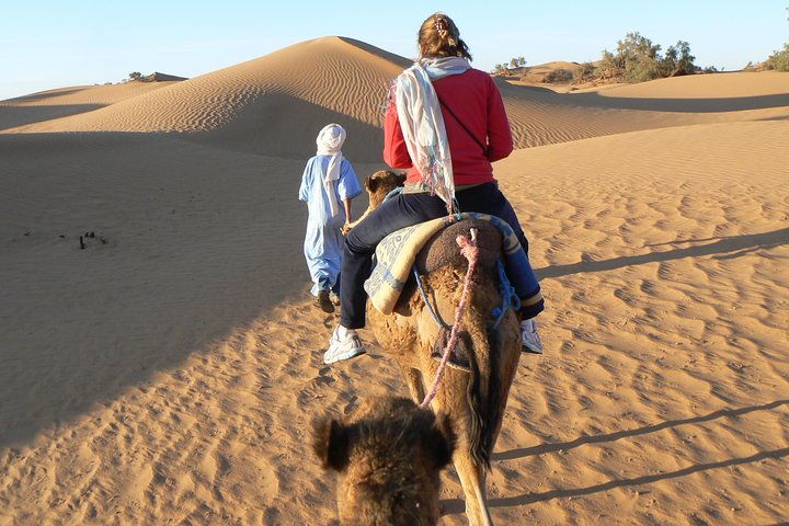 From Marrakech: Private Tour to Oasis and Trekking in the Desert of Erg Chigaga