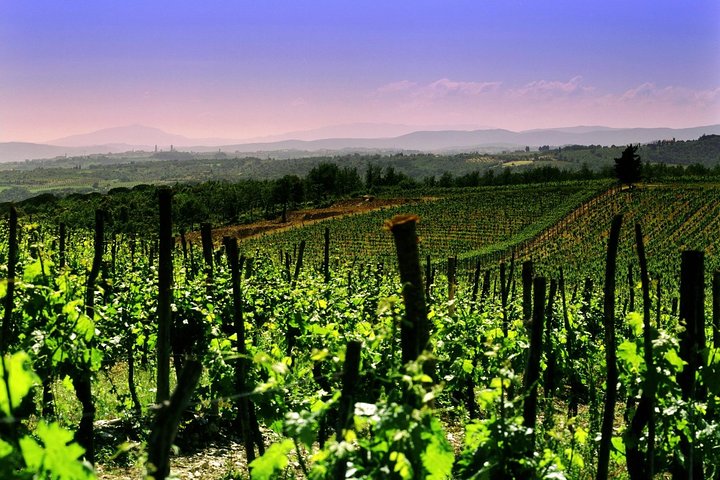 Private 8h Tour to winery in Franciacorta and Bergamo from Milan