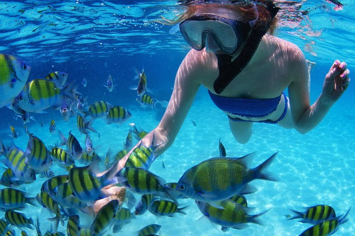From Dubai: Snorkeling trip in Fujairah