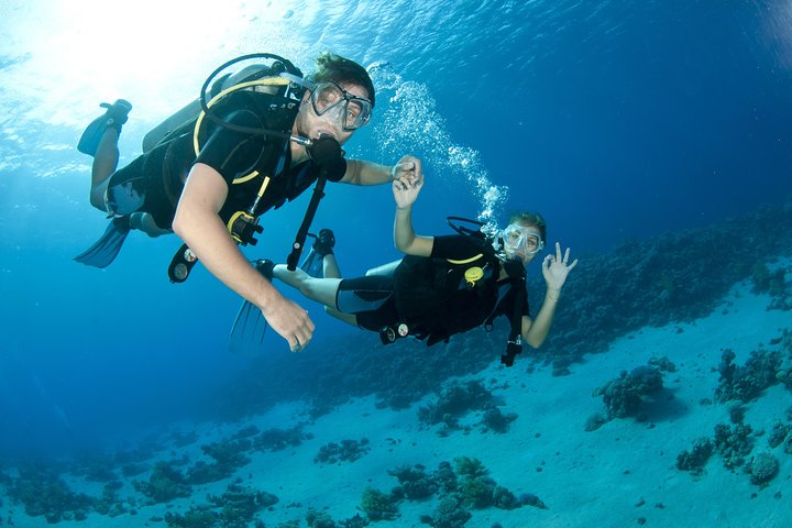 From Dubai: Discovery Scuba Diving & Snorkeling trip in Fujairah