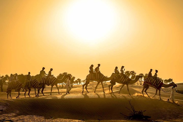 Dubai Sunset Camel Trekking with Shows & BBQ Dinner
