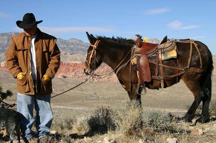 2-Hour Horseback Riding through Red Rock Canyon