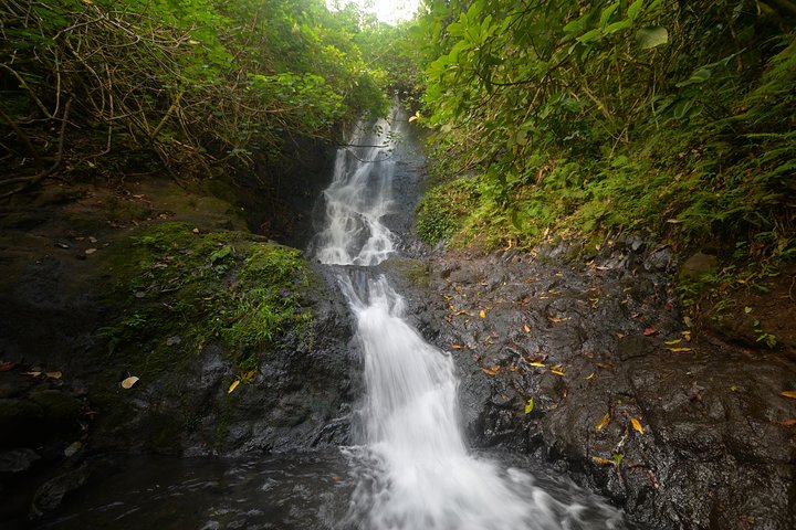 Oahu Hidden Waterfall Hike: A Tropical Paradise Adventure
