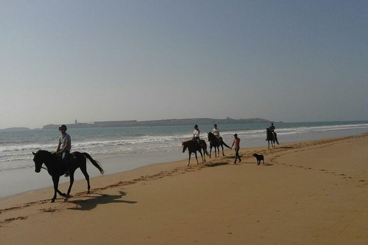 1 hour horse ride on the beach of essaouira
