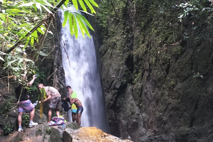 Small-Group Jungle Hiking Excursion in Khao Phra Teaw Park