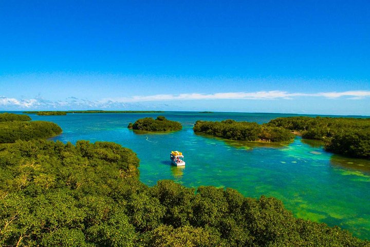 Kayak + Guided Snorkel & Morning Sail hosted by Honest Eco