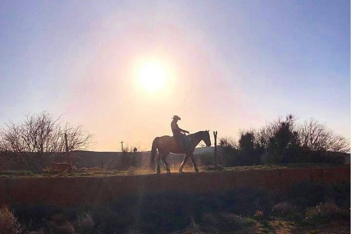 Wild West Sunset Horseback Ride with Dinner from Las Vegas