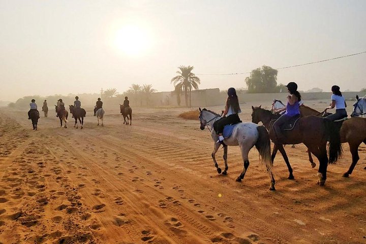Desert Horse Riding Experience in Dubai