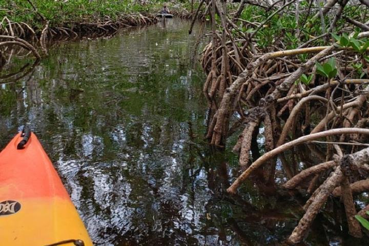 Key West Kayak Rental