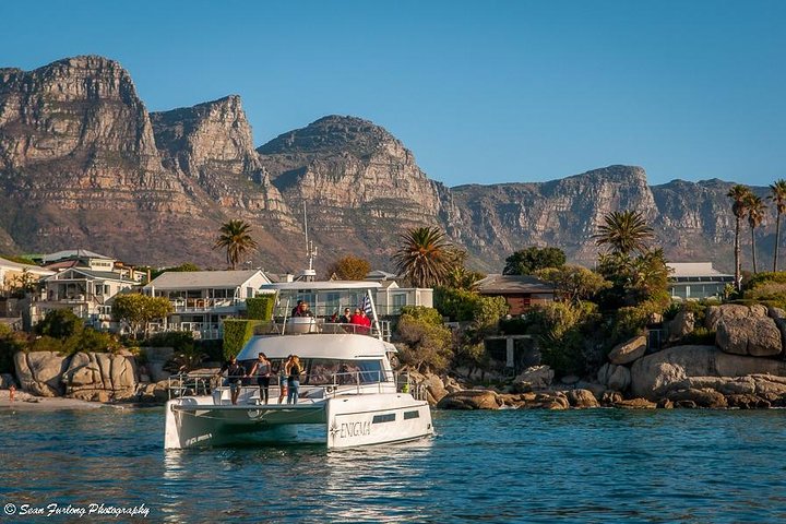 1 Hour Coastal Catamaran Cruise from Cape Town