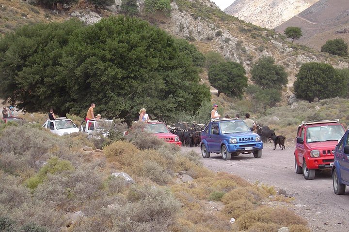 Jeep Safari 4x4 Crete real off road mountain tracks with Lunch from Hersonissos