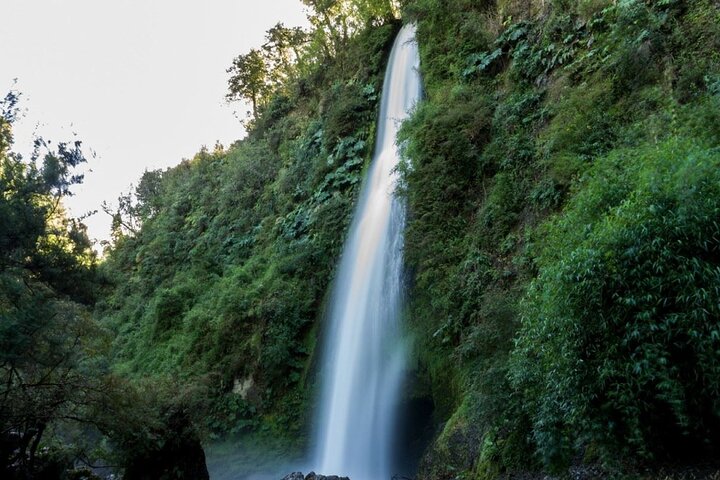Coastal Nature Adventure in Chiloe