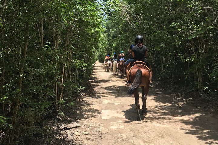Horseback Riding plus ATV, Cenote, Ziplines, and Lunch