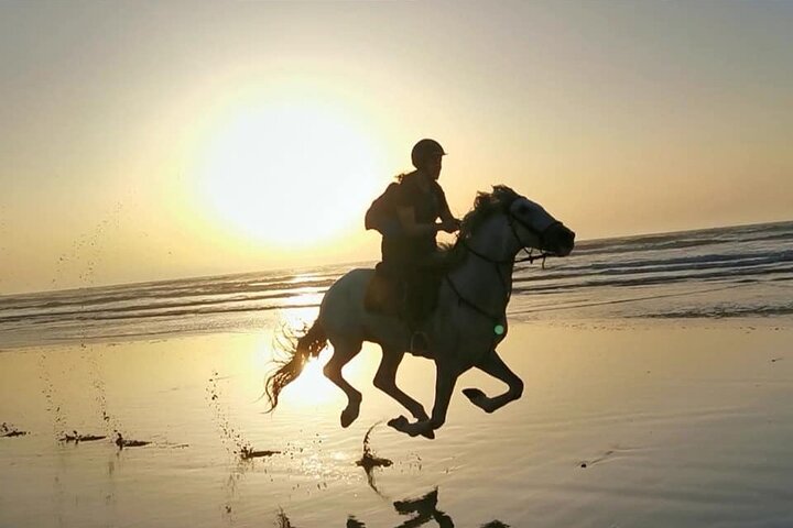 Horse riding at sunset for 2 hours