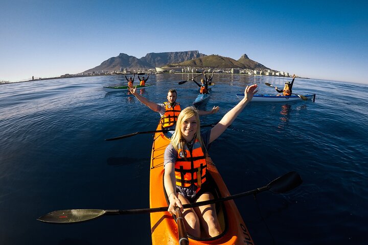 Cape Town Kayak Adventure in Table Mountain Marine Reserve