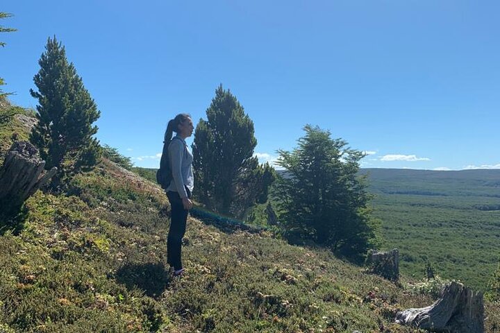 Magallanes National Reserve and Punta Arenas City Tour