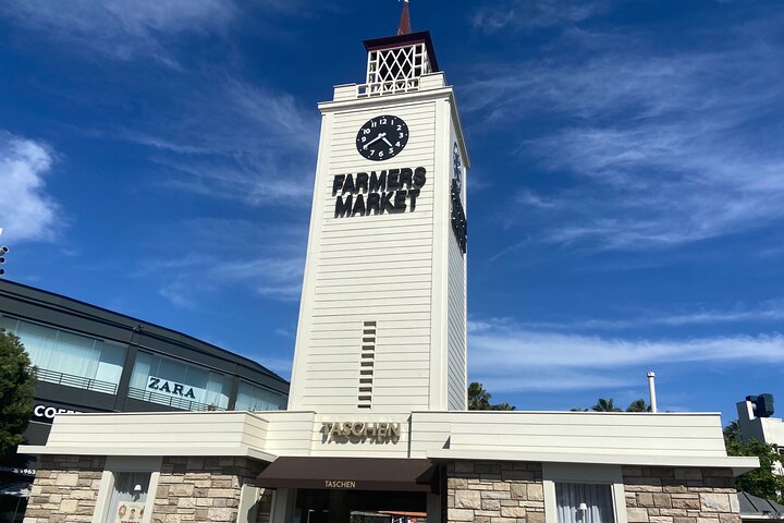 10 Passengers Private City Tour of LA with Beaches from Anaheim