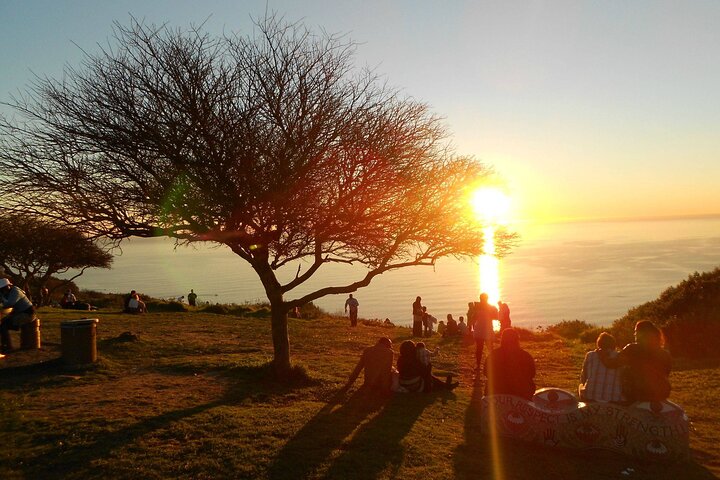 Summer Sunset Bus Tour in Cape Town