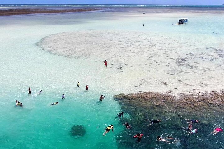 Kaneohe Sandbar Snorkeling Tour - 2nd Tour