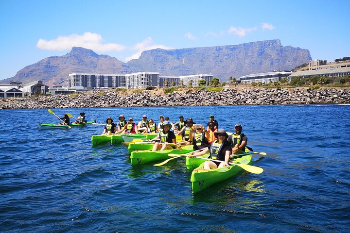 Cape Town Sea Kayaking Adventure launching from V&A Waterfront