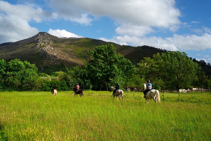 2 hour horseback ride for experts in Valgraziosa (Pisa)