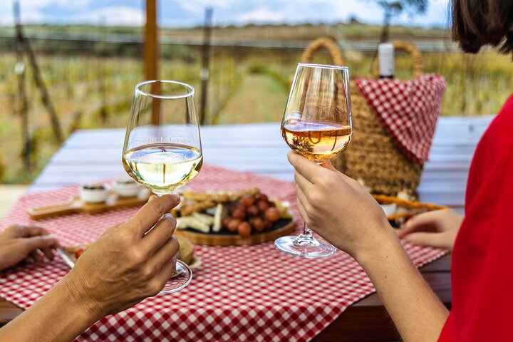 Lyrarakis Vineyard Picnic Experience with Guided Wine Tasting