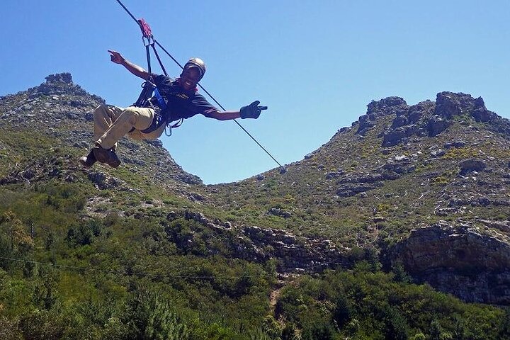 Cape Town Zipline, Penguins and Cape of Good Hope Private Tour