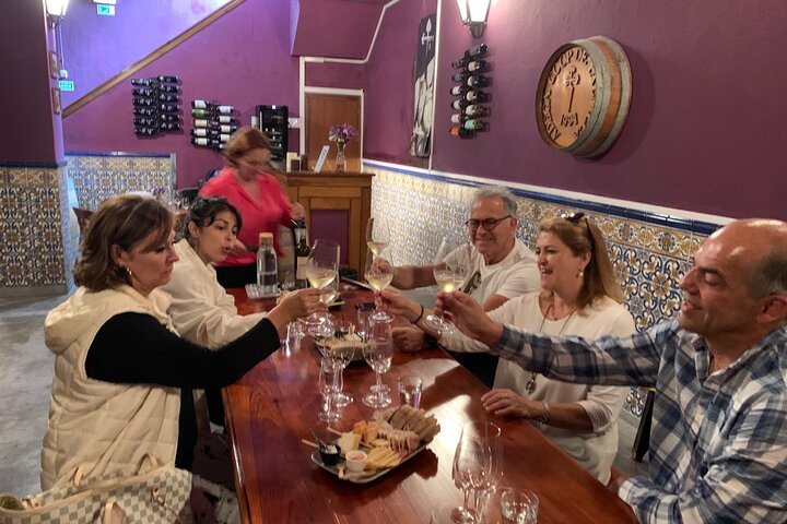 Wine Tasting of Regional Products and Winery Visit