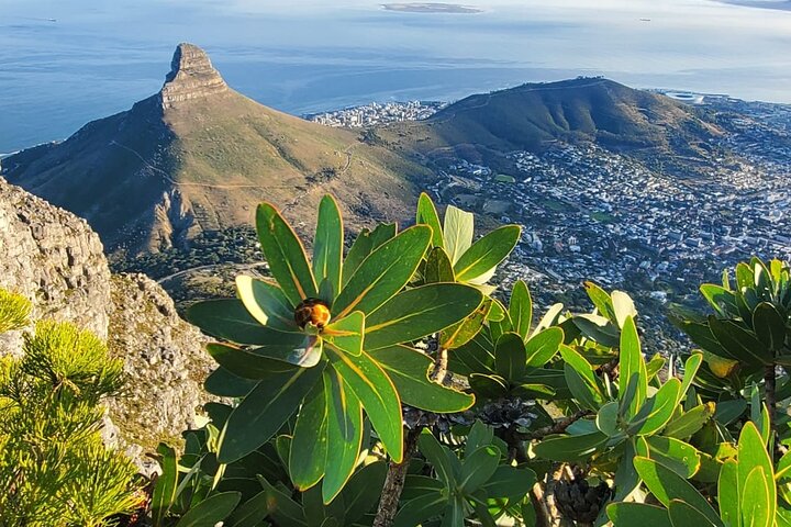 Hiking Table Mountain Platteklip Gorge Morning Hike