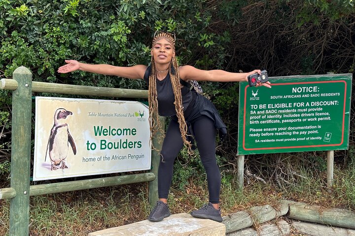 Boulders Beach Cape Town: Swimming With Penguin & Close Encounter Half Day Tour