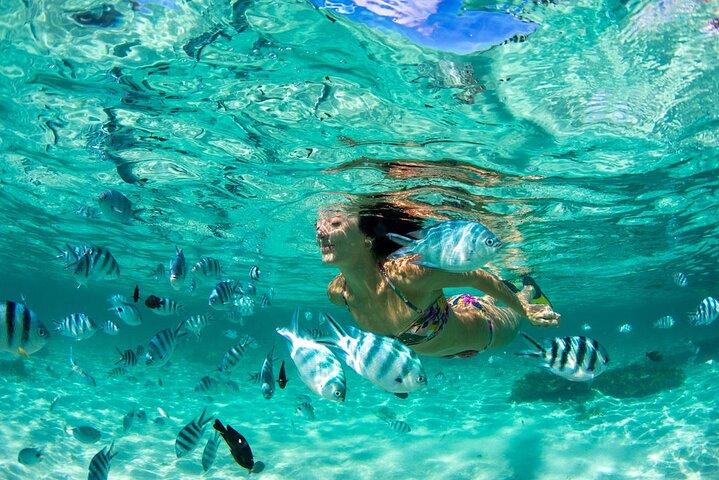 Phuket Coral Island Private Snorkeling Adventure All Inclusive