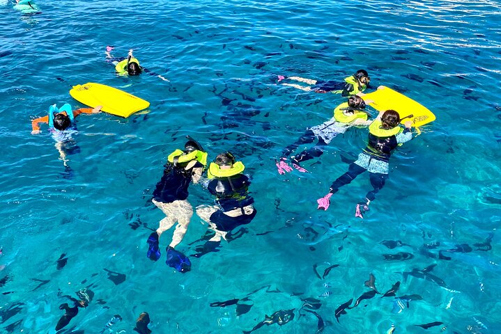 Waikiki Turtle Snorkeling Adventure(8am)