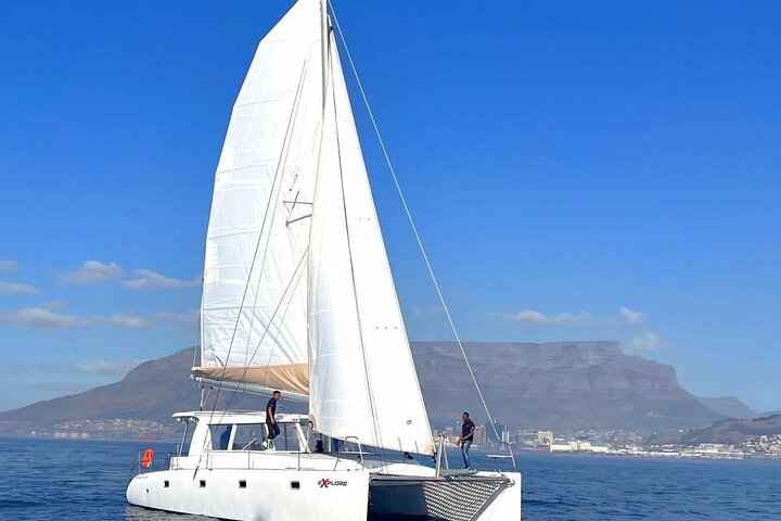Catamaran Cruise in Cape Town