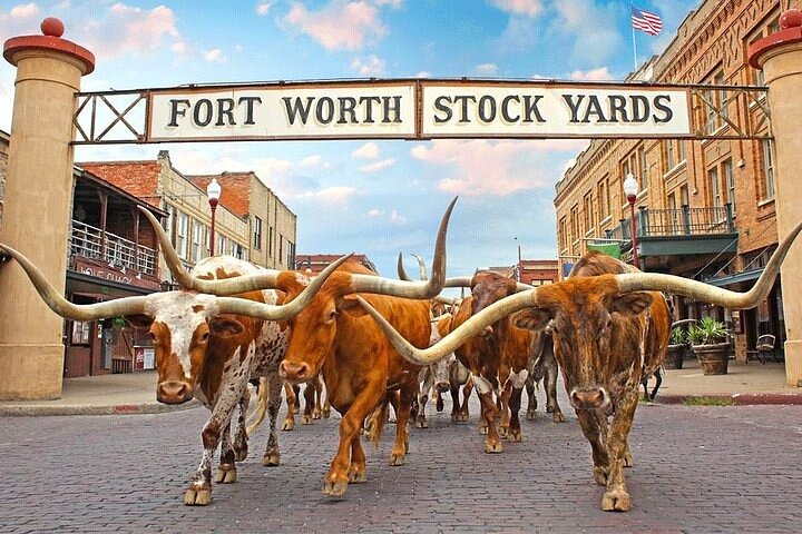 Fort Worth Highlights, Billy Bob’s & John Wayne Day Tour