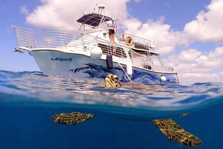 Waikiki Turtle Snorkeling Tour with Complimentary Trolley Ride
