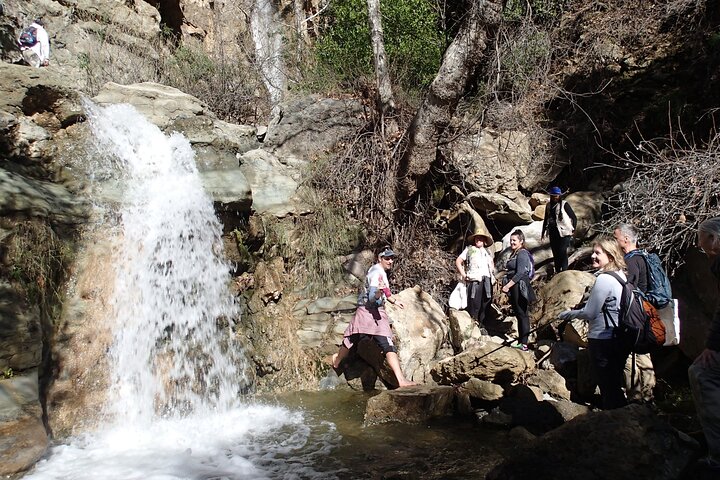 Nature Walk/Hike Tour near Disneyland: ID plants & wildlife
