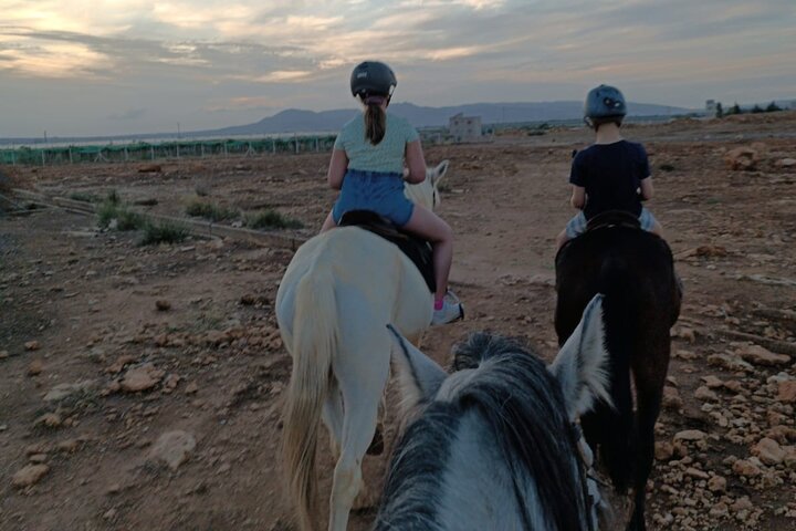 The Horse ride at the Suburbs of Fez (with lunch)
