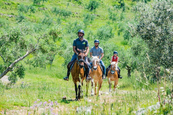 Horseback riding and aperitif 2 hours for beginners