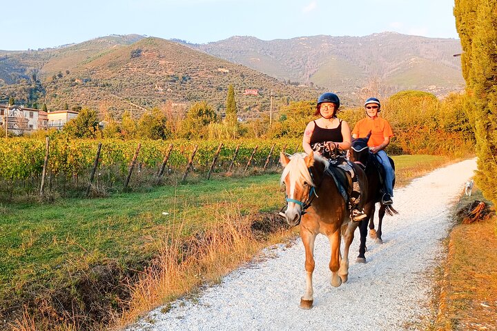Horseback riding at sunset 1 hour at the Certosa di Pisa