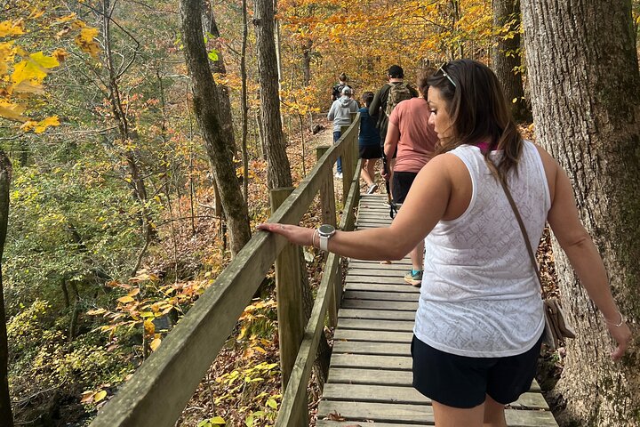 Waterfall Wonders Hiking Tour with Brewery Stop from Nashville