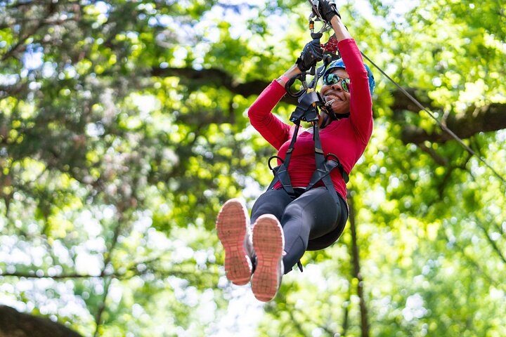 3-Hour Ropes Course and Zip Line Adventure