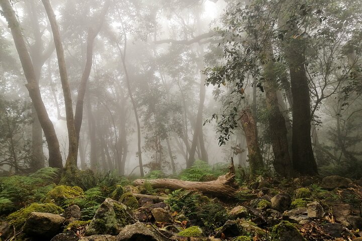 Skeleton Gorge Hike up Table Mountain