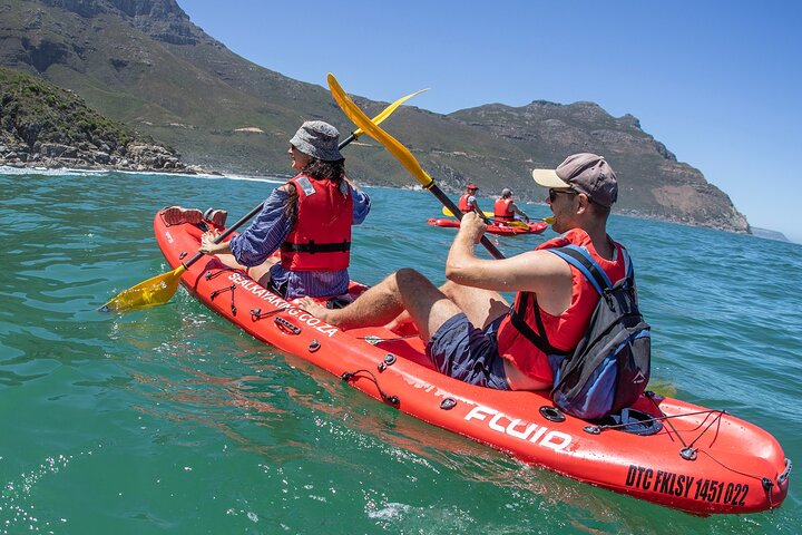 Guided kayaking adventure with marine life in Hout Bay