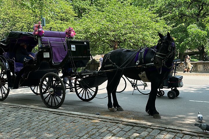 NYC Empire State Horses Carriage Ride in Central Park (45 Mins)